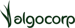 Algocorp